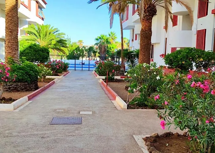 Playa De Americas 600mt From The Internet Free * Playa de las Americas (Tenerife)