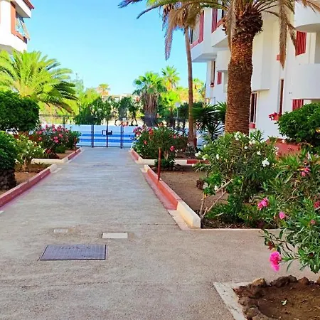 Playa De Americas 600mt From The Internet Free * Playa de las Americas (Tenerife)