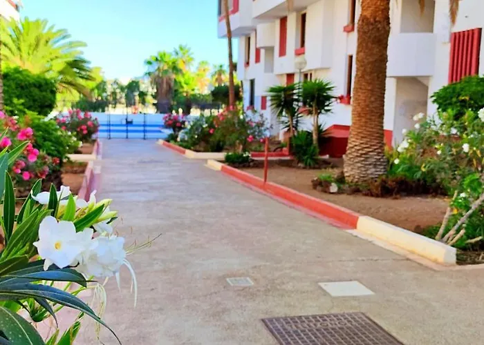 Playa De Americas 600mt From The Internet Free Apartment Playa de las Americas (Tenerife)